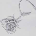 - slonek_eva_maria