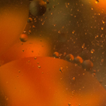 Waterdrops 2 - kipper_christine