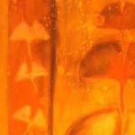 Ginkgo Terra - kollegger_ginko_brigitte