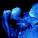 Dancing Mystery II () - mauerlechner_harald